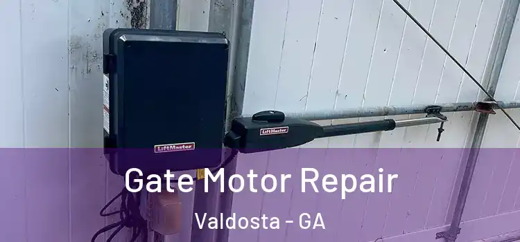 Gate Motor Repair Valdosta - GA