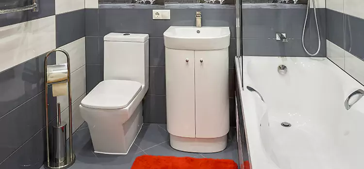 Hansgrohe Shaving Mirror Valdosta